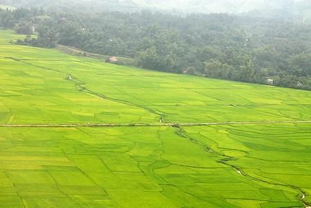 Muong Lo - cradle of Black Thai culture - ảnh 1